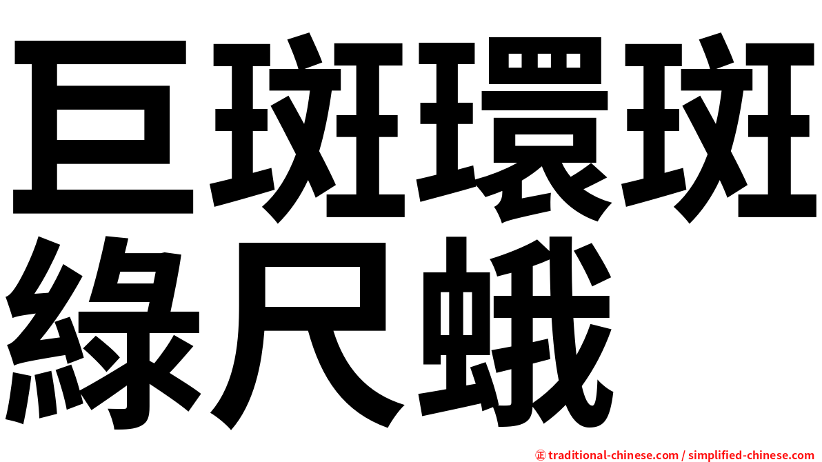 巨斑環斑綠尺蛾