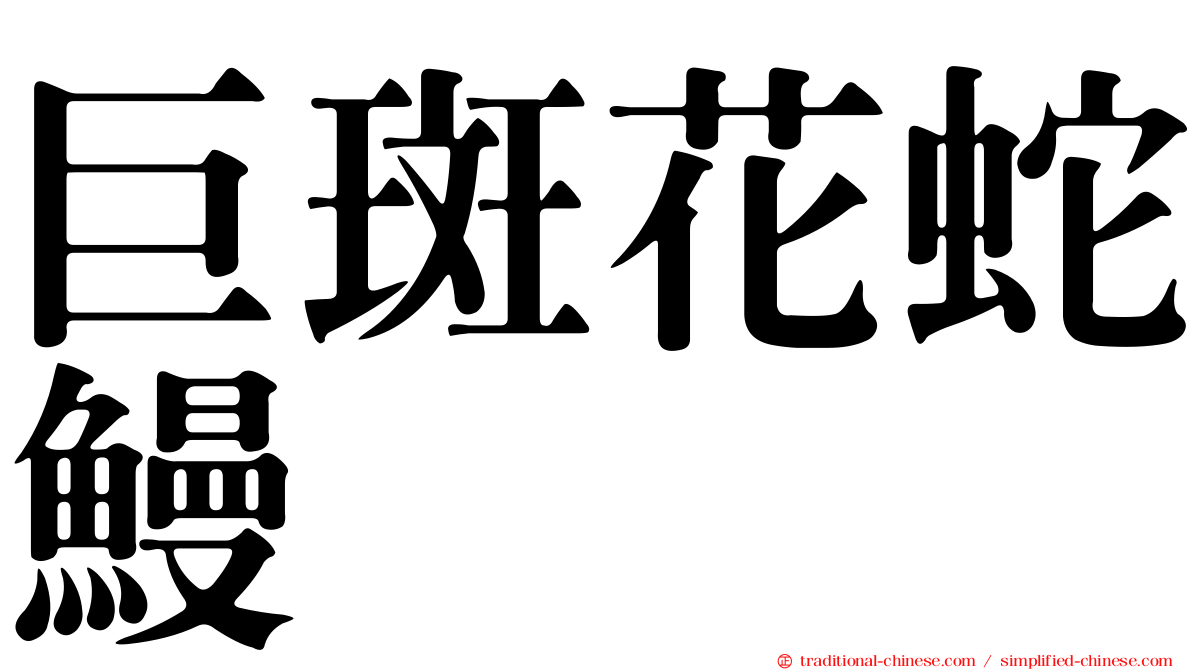 巨斑花蛇鰻