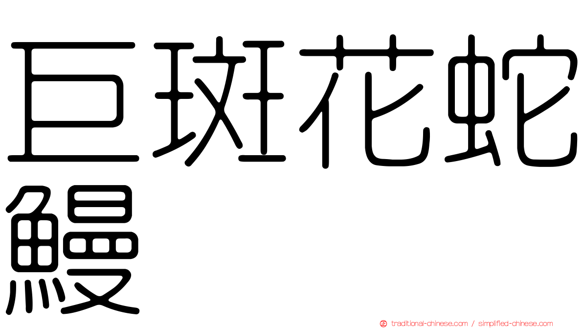 巨斑花蛇鰻