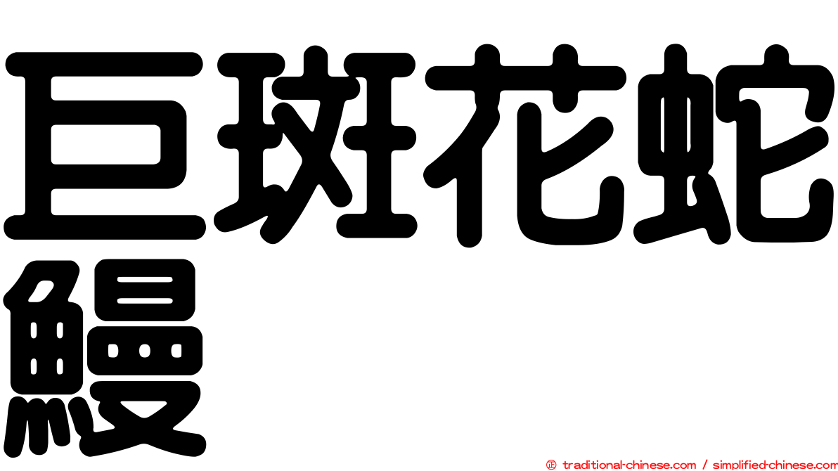 巨斑花蛇鰻