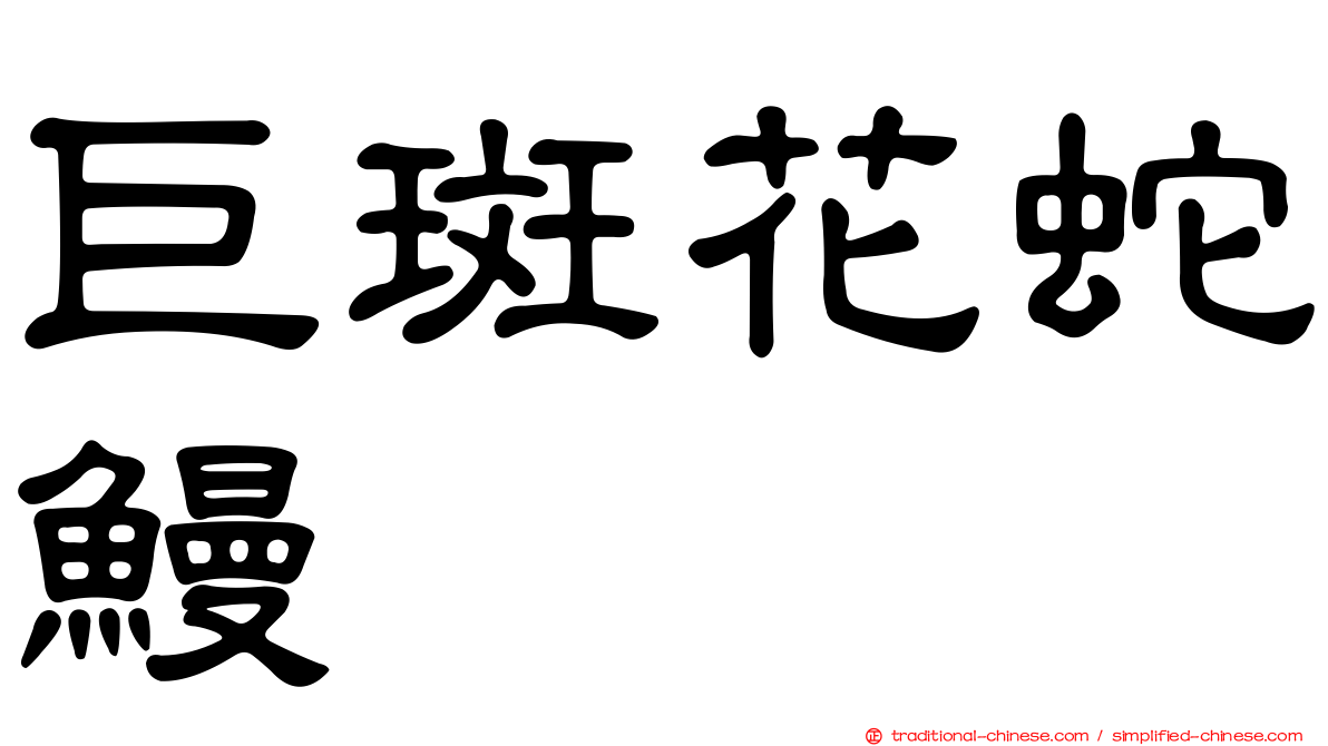 巨斑花蛇鰻