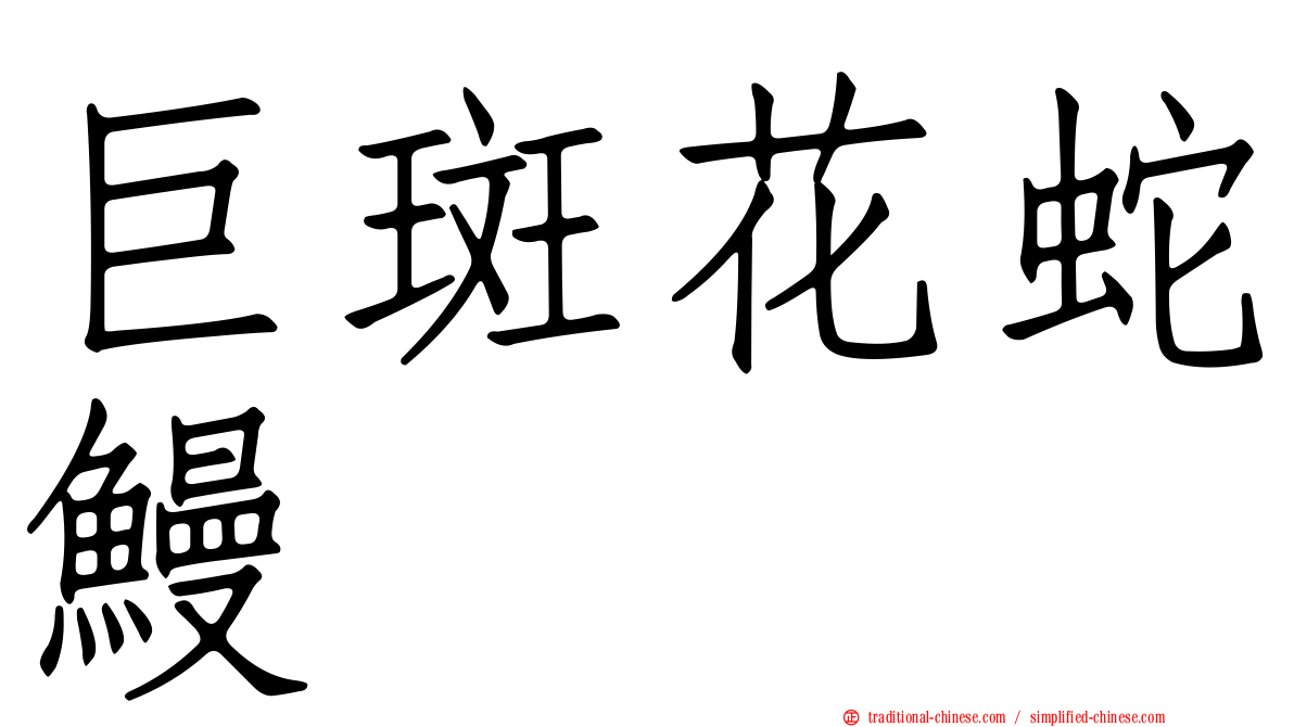 巨斑花蛇鰻