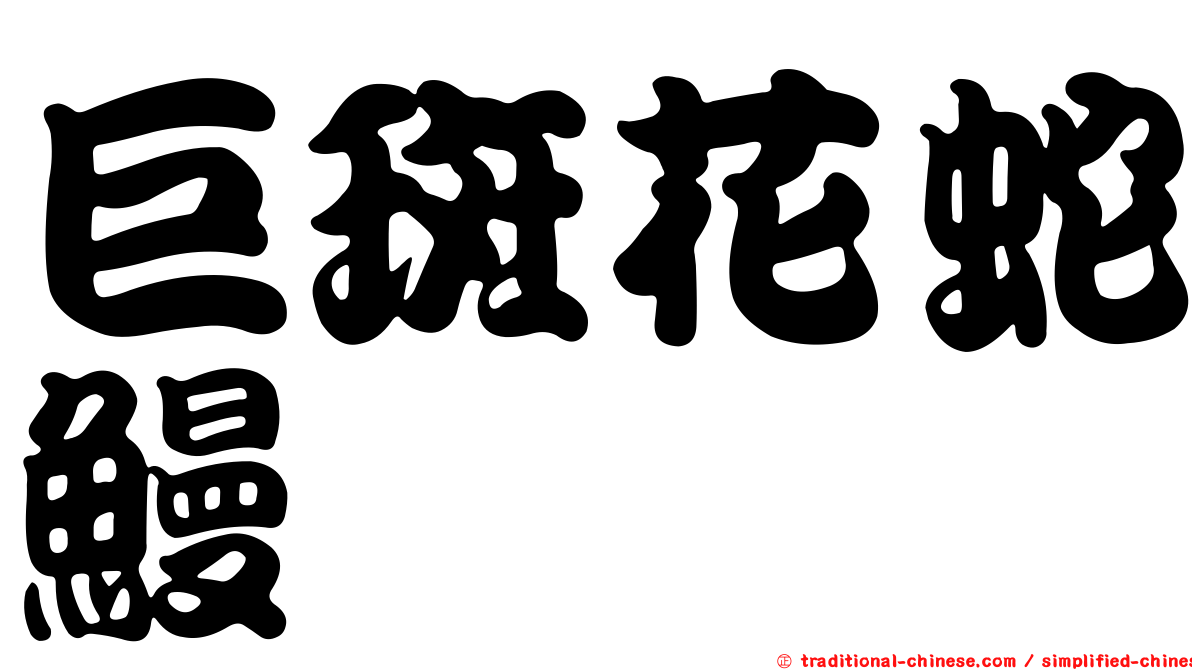 巨斑花蛇鰻