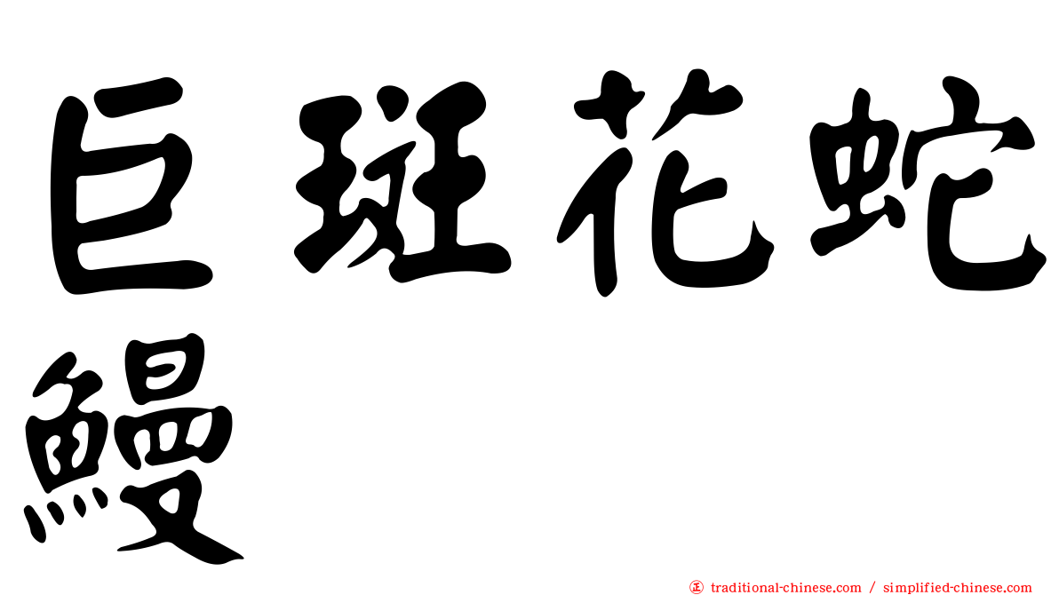 巨斑花蛇鰻