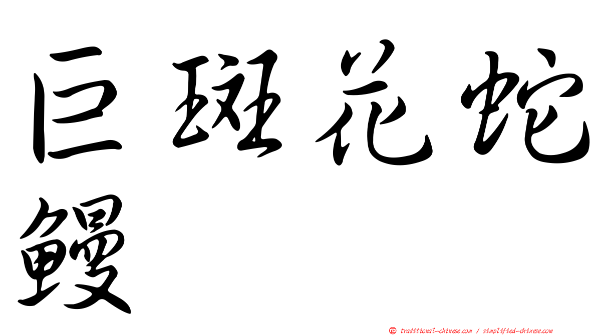 巨斑花蛇鰻