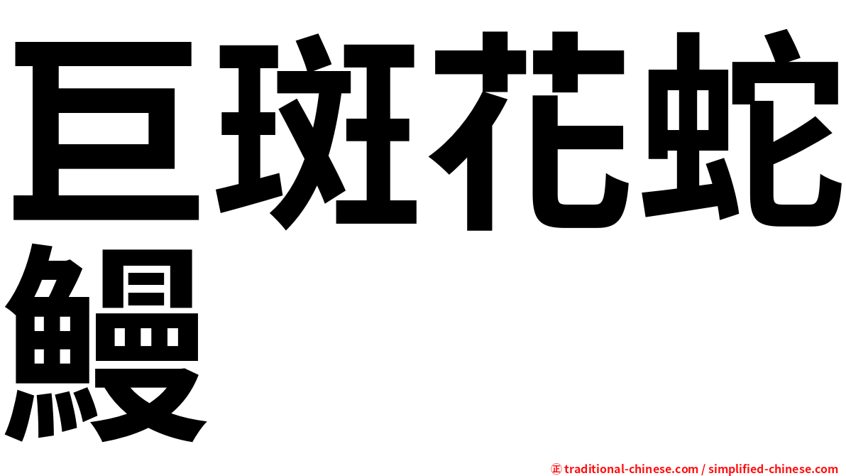 巨斑花蛇鰻
