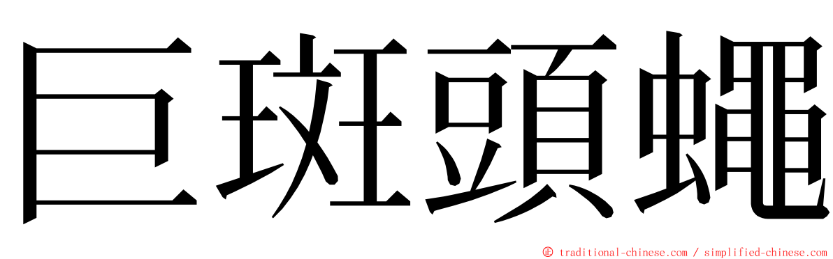 巨斑頭蠅 ming font
