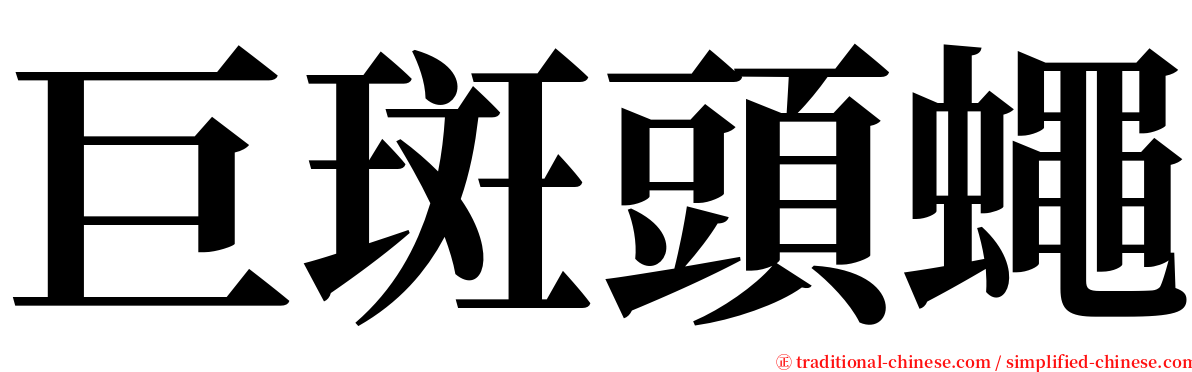 巨斑頭蠅 serif font