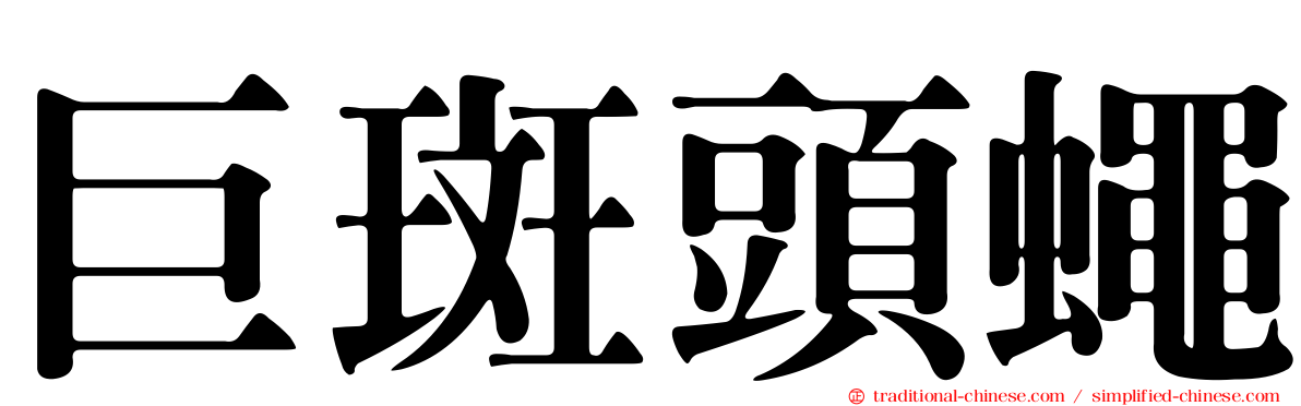 巨斑頭蠅