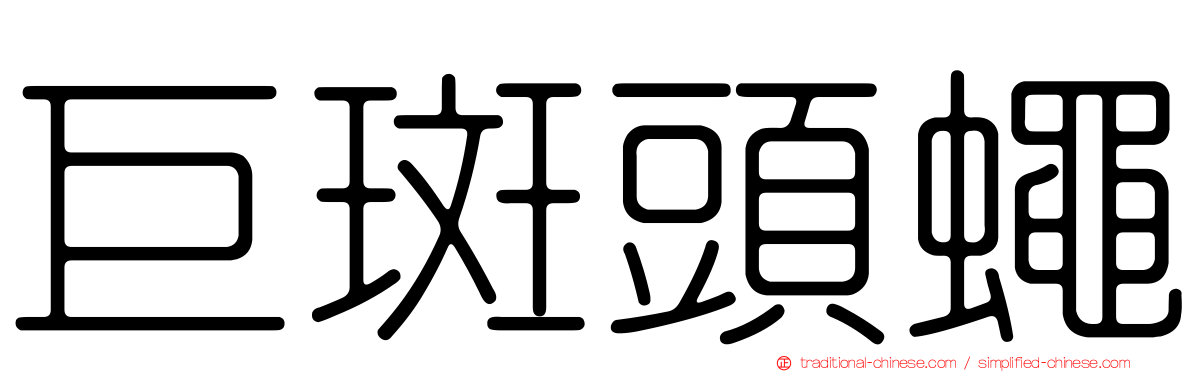 巨斑頭蠅