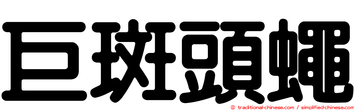 巨斑頭蠅
