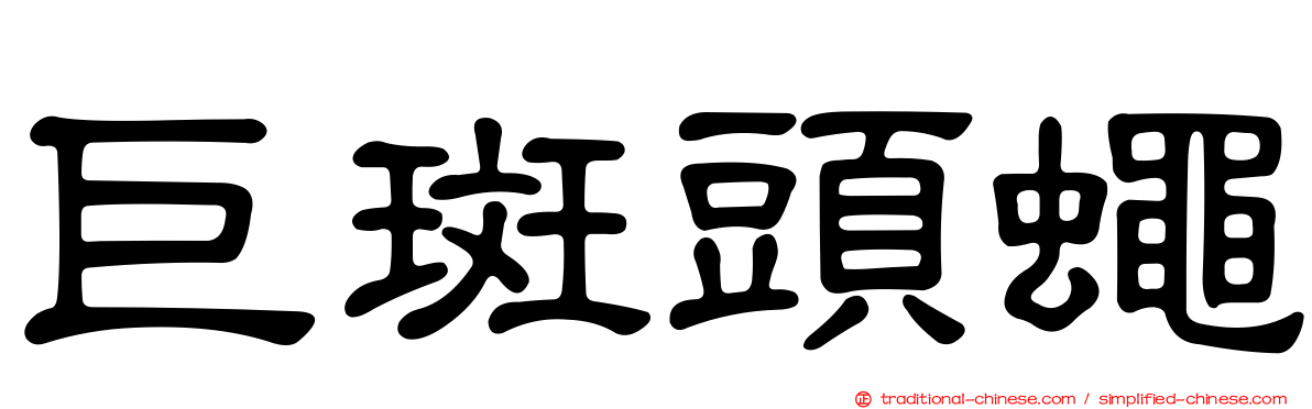 巨斑頭蠅