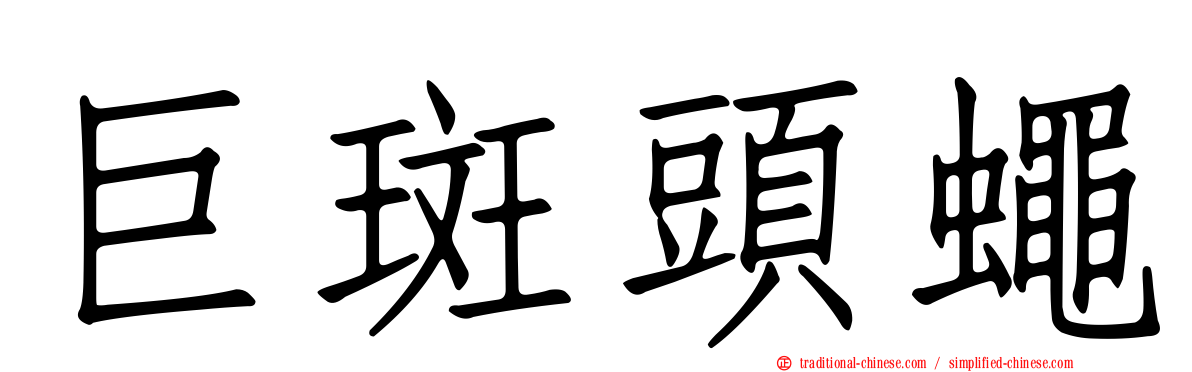 巨斑頭蠅