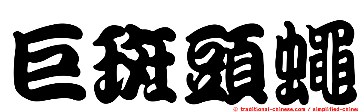 巨斑頭蠅