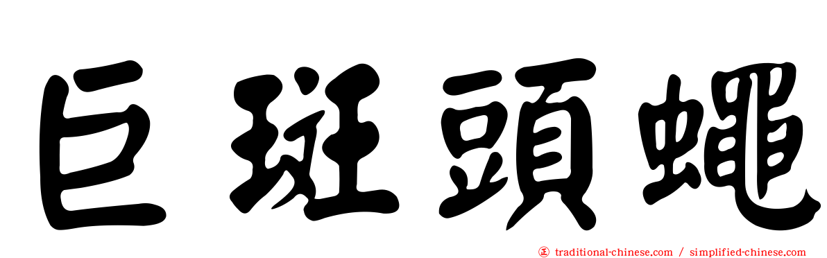 巨斑頭蠅