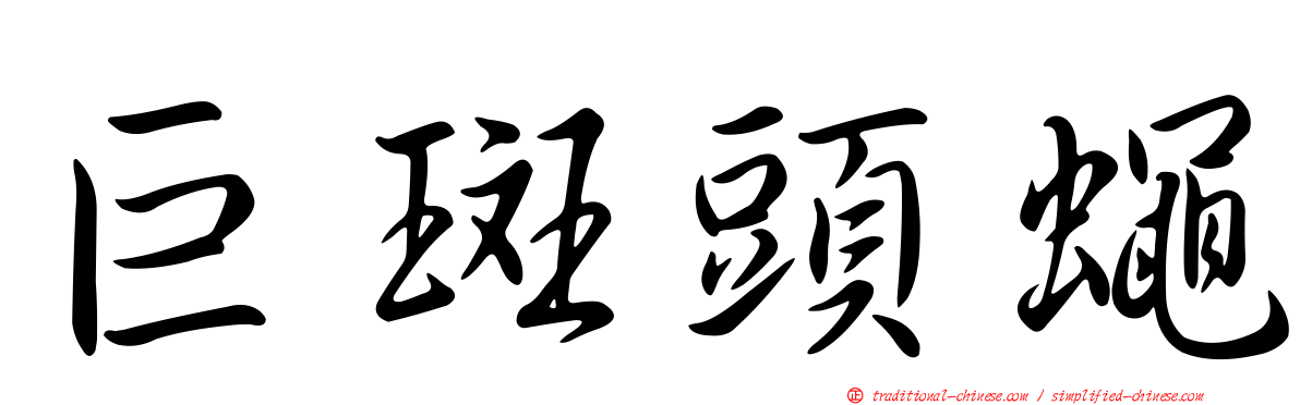 巨斑頭蠅