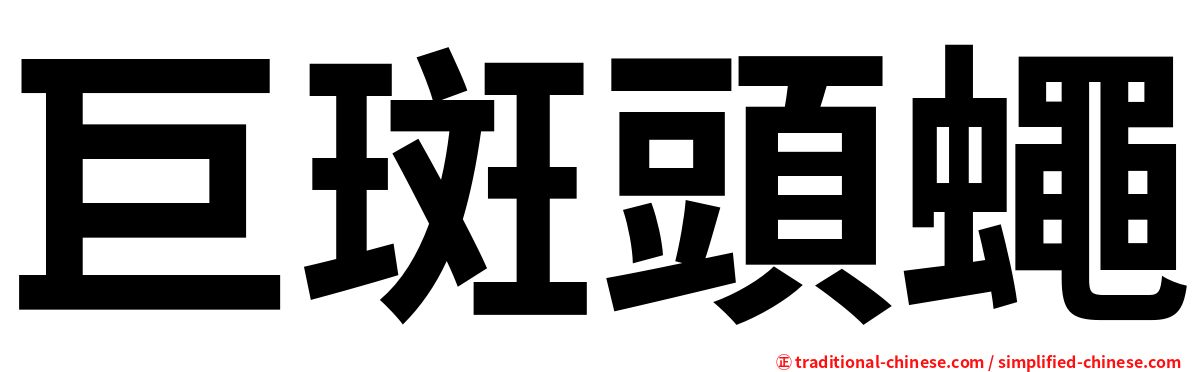 巨斑頭蠅