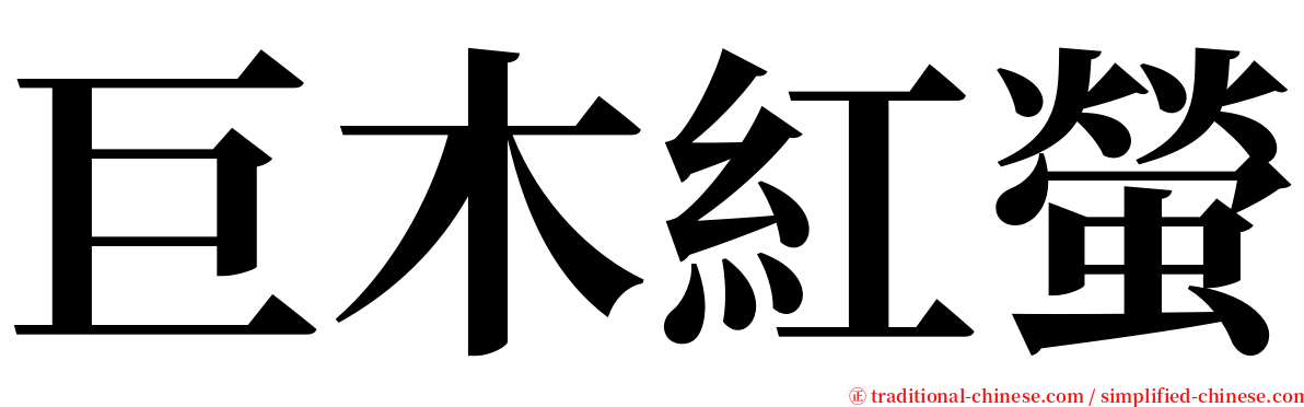 巨木紅螢 serif font