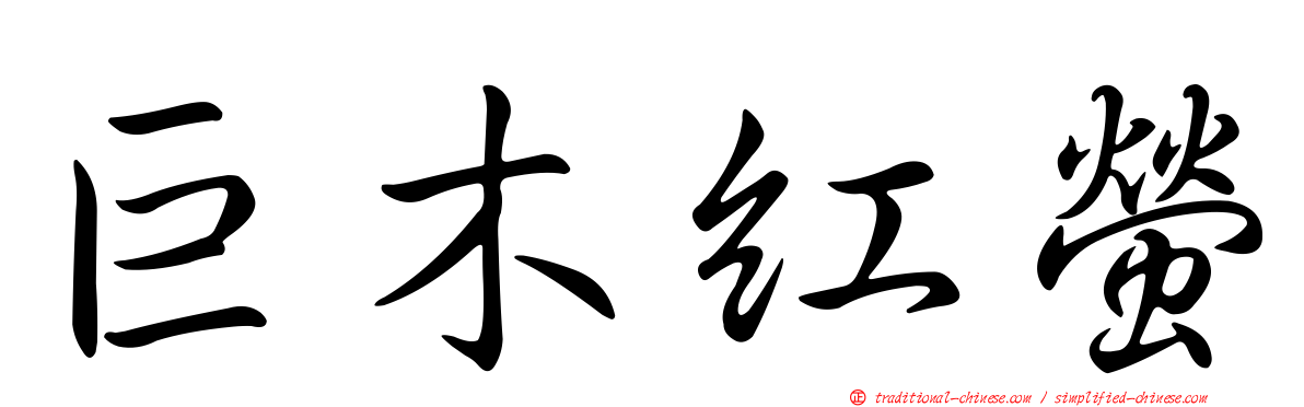 巨木紅螢