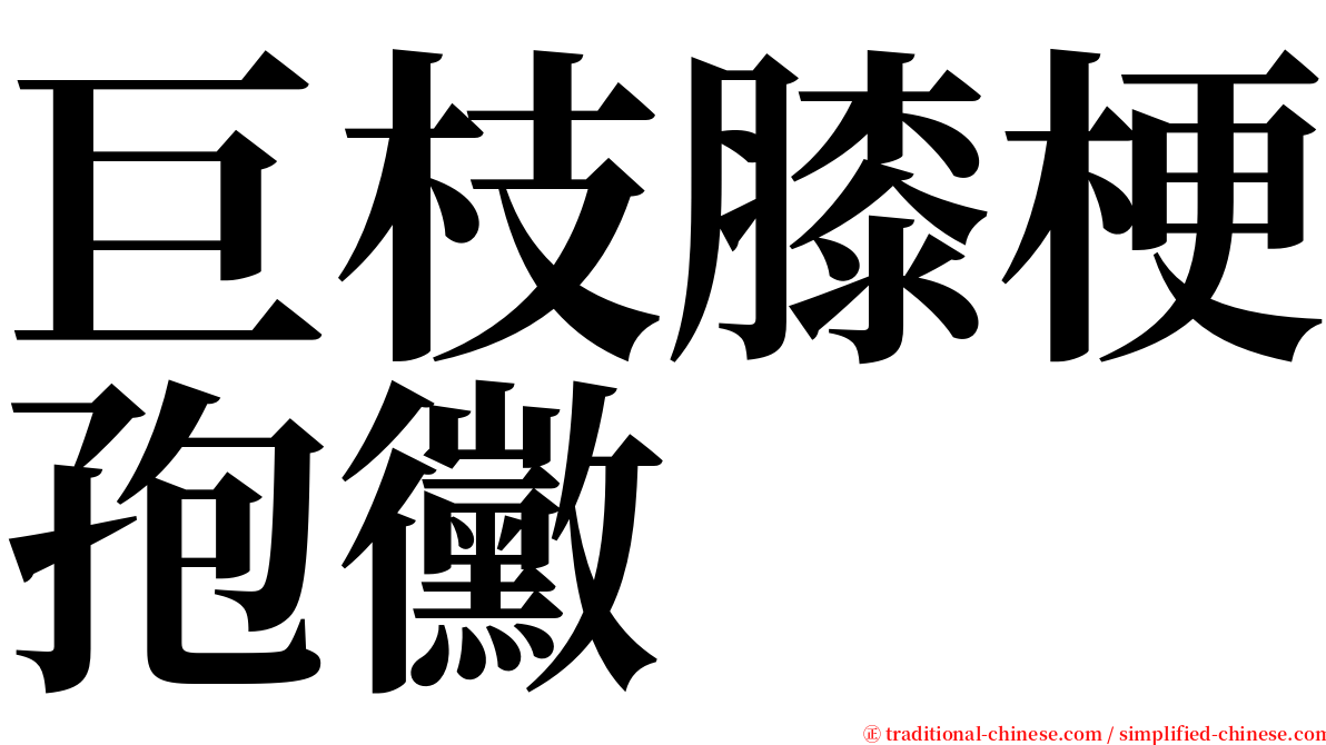 巨枝膝梗孢黴 serif font