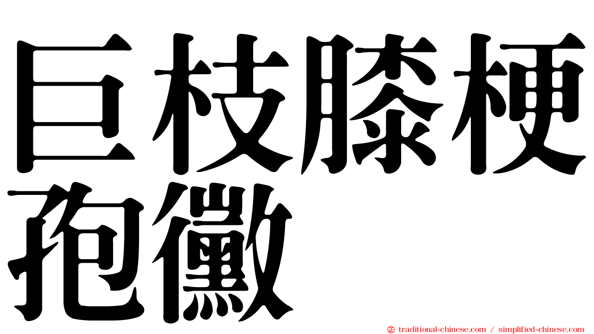 巨枝膝梗孢黴