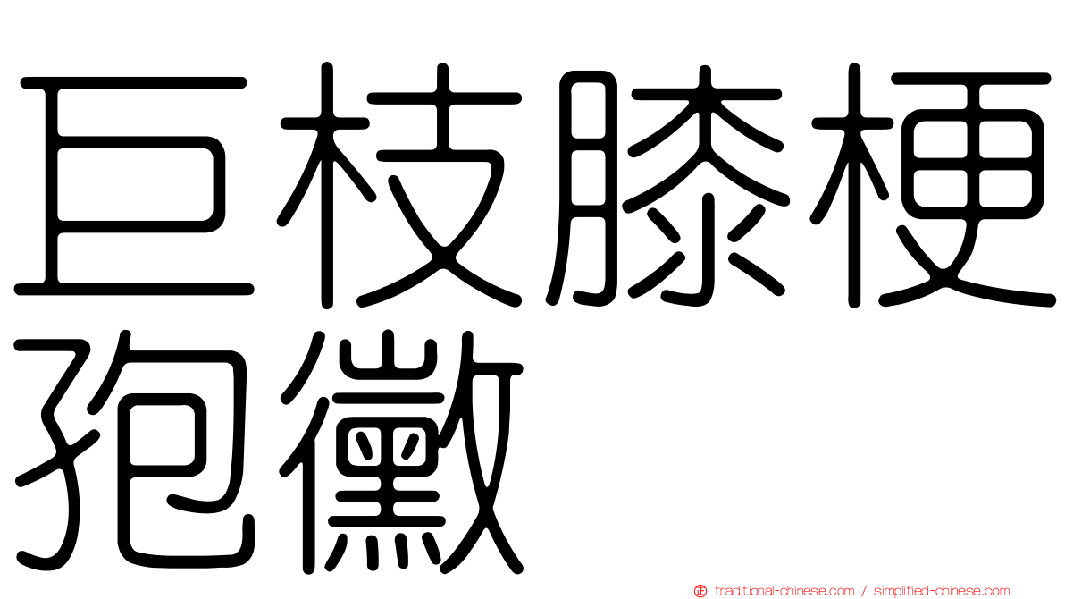 巨枝膝梗孢黴