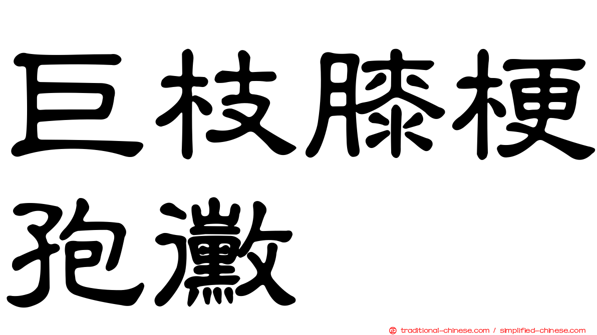 巨枝膝梗孢黴