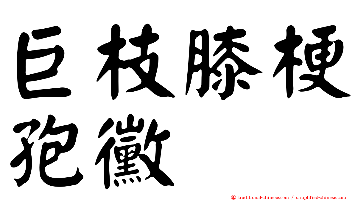 巨枝膝梗孢黴