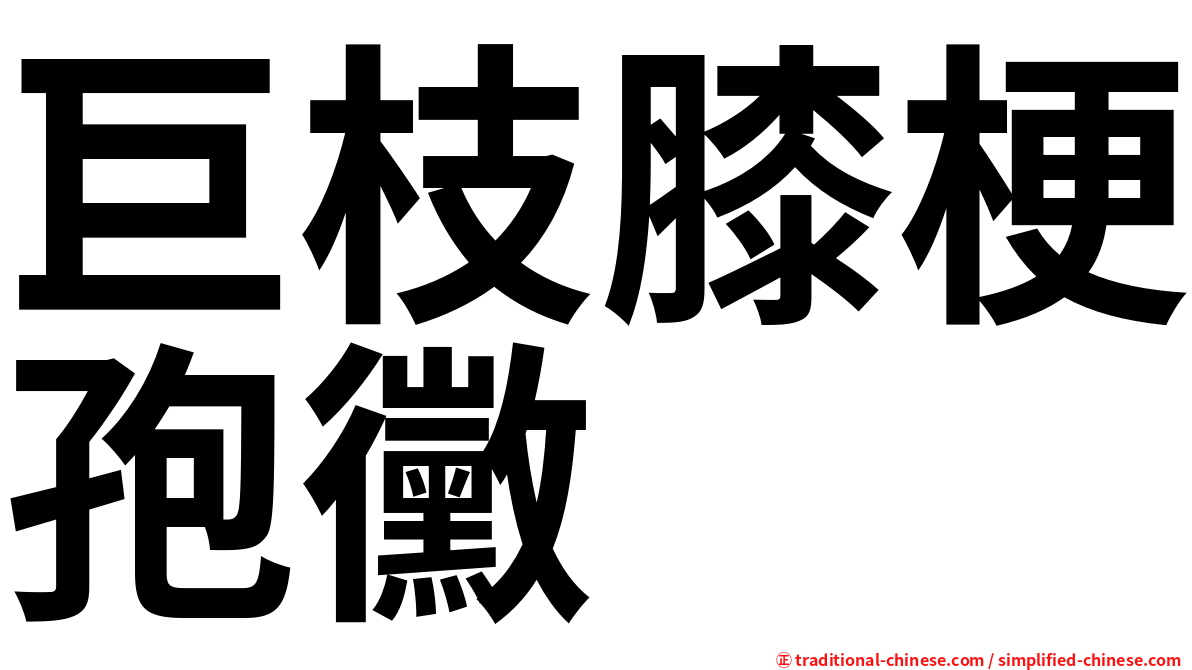 巨枝膝梗孢黴