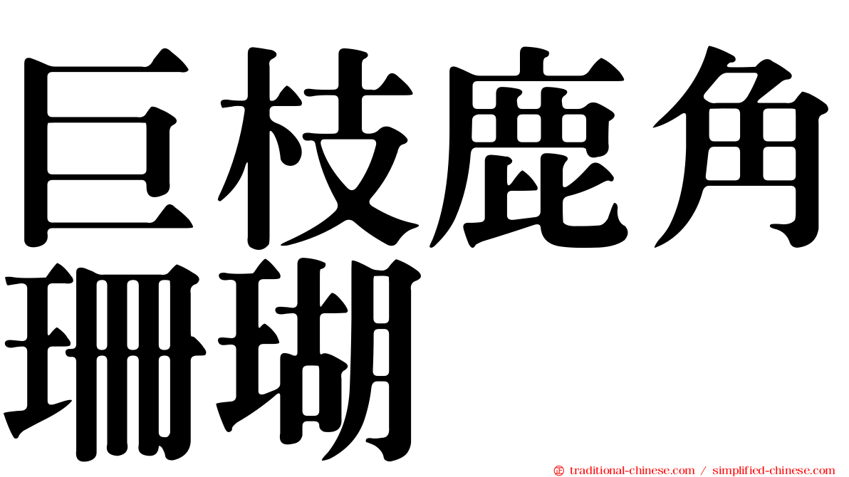 巨枝鹿角珊瑚