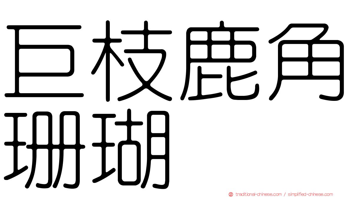 巨枝鹿角珊瑚