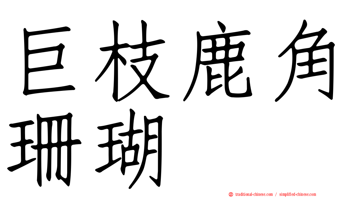 巨枝鹿角珊瑚