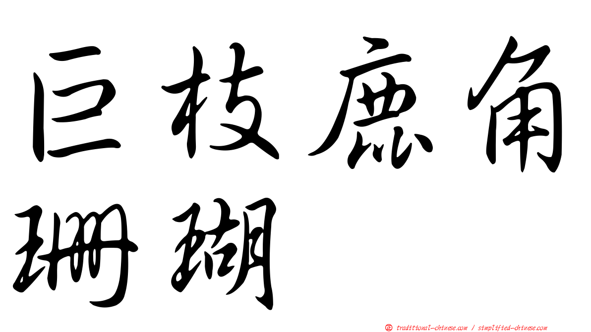巨枝鹿角珊瑚