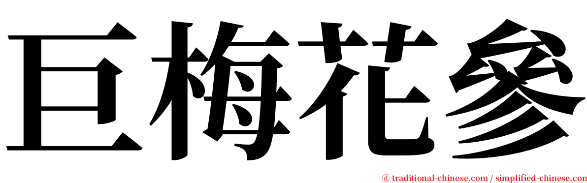 巨梅花參 serif font