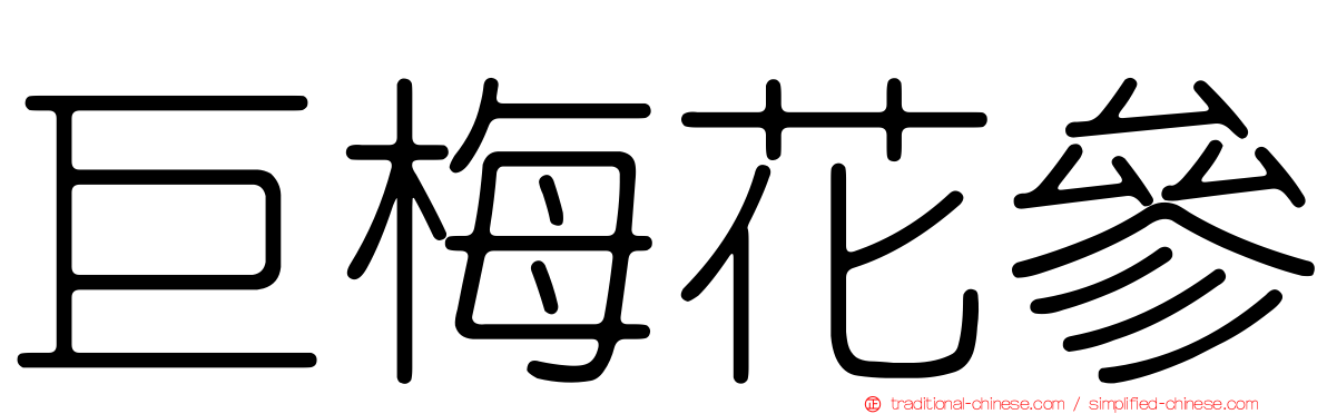 巨梅花參