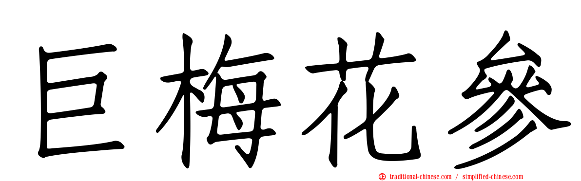 巨梅花參