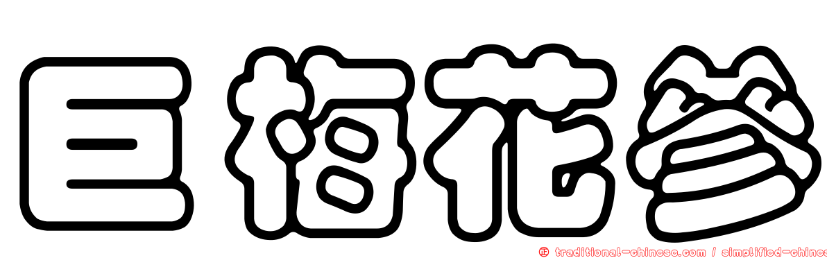 巨梅花參