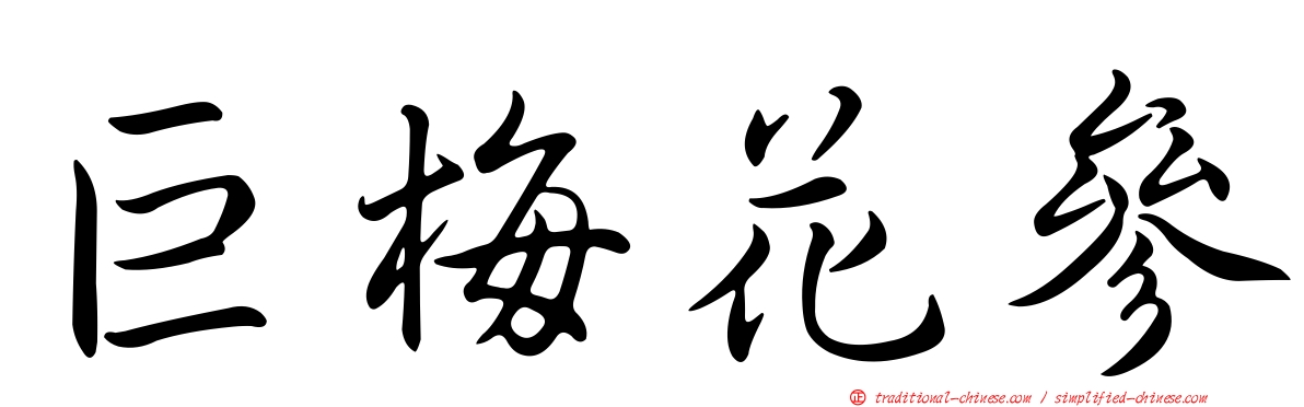 巨梅花參