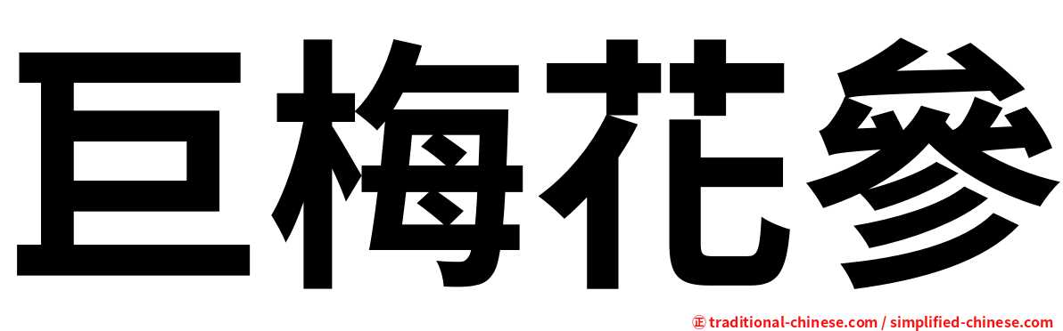 巨梅花參