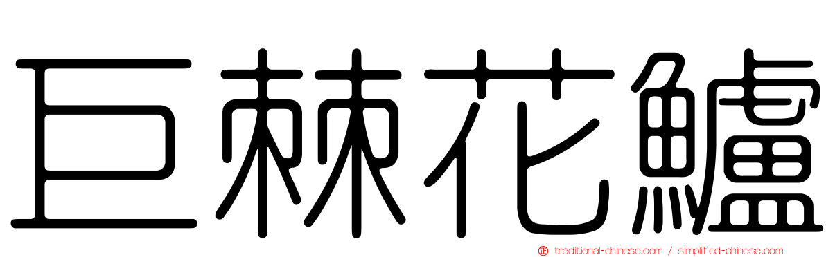 巨棘花鱸