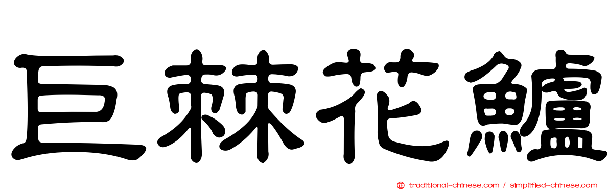 巨棘花鱸