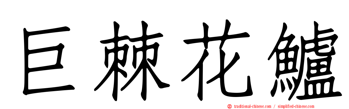 巨棘花鱸