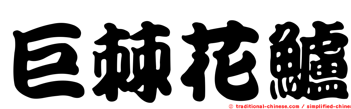 巨棘花鱸