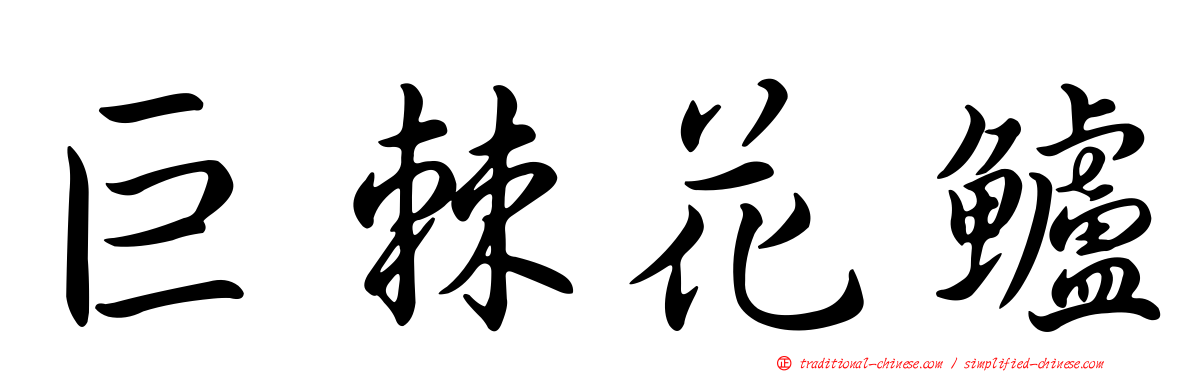 巨棘花鱸
