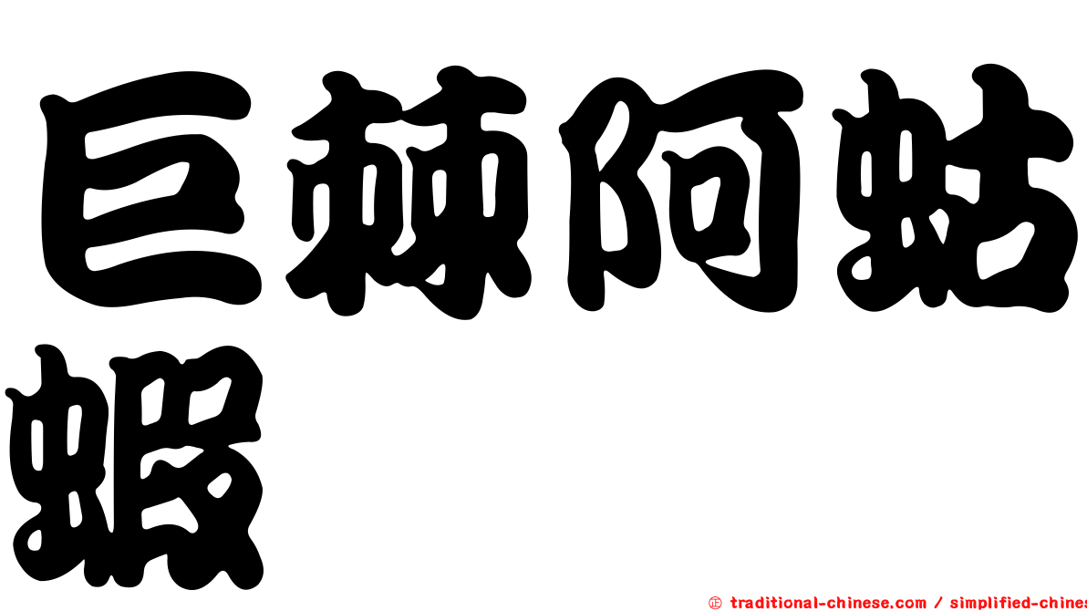 巨棘阿蛄蝦