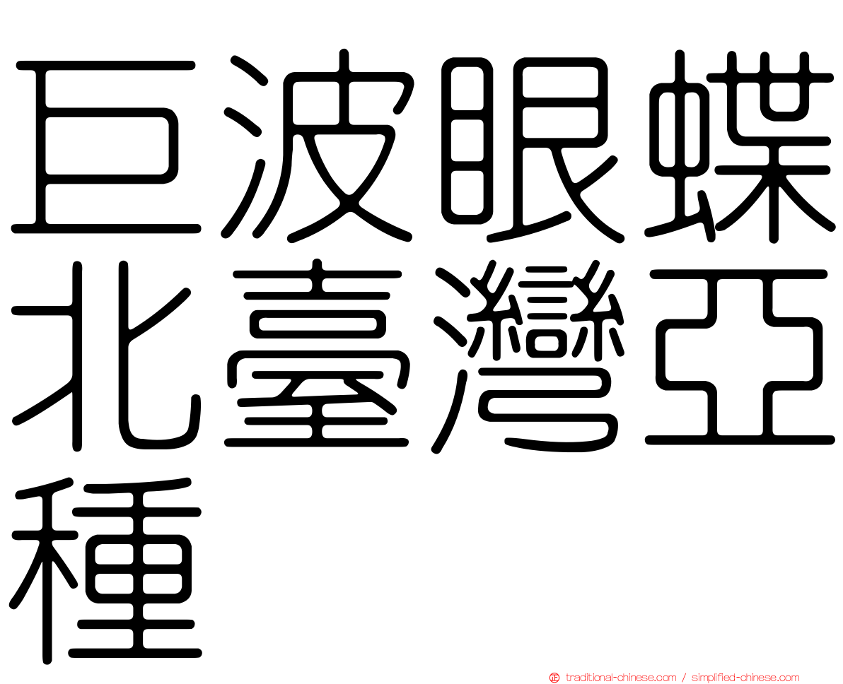 巨波眼蝶北臺灣亞種