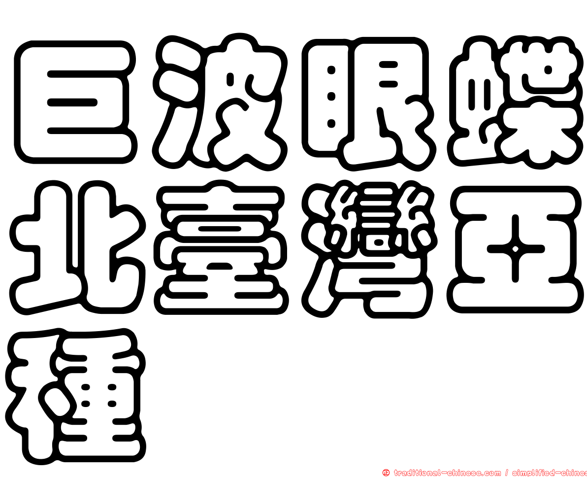 巨波眼蝶北臺灣亞種