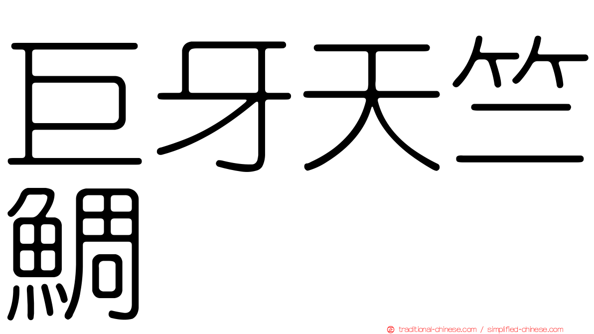 巨牙天竺鯛