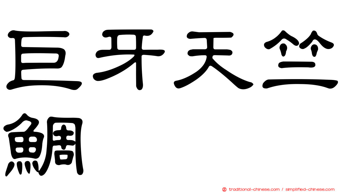 巨牙天竺鯛
