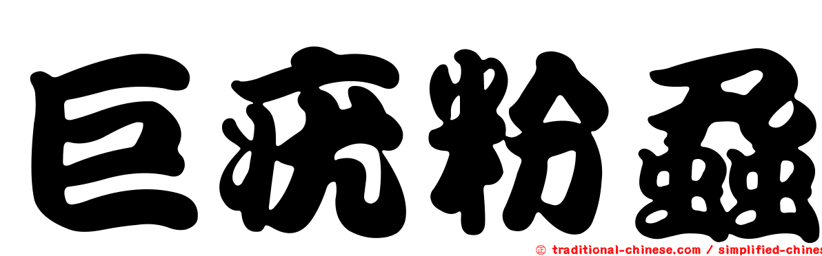 巨疣粉蝨